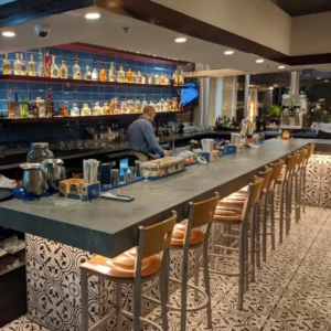 Agave Azul Metro West