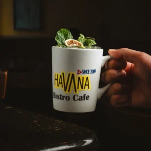 Havana Bistro