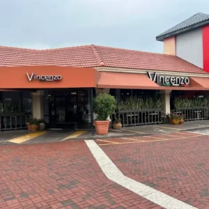 Vincenzo